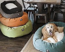 Image result for Best Dog Beds for Golden Retrievers