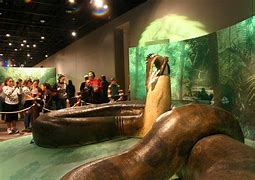 Image result for World Largest Snake Found