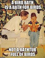Image result for Bird Houses in Bird Bath Meme