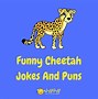 Image result for Cheetah Puns