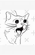 Image result for Crying Cat Meme PFP