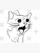 Image result for Crying Cat Meme Origin