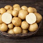 Image result for The Largest Elba Potato