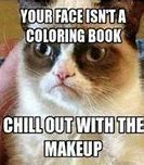 Image result for Funny Ugly Cat Memes