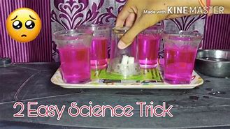 Image result for Easy Science Magic Tricks