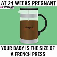 Image result for Pregnancy Humor