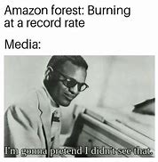 Image result for Amazon Forest Memes