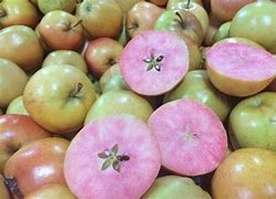 Image result for 4Lbs of Apple's