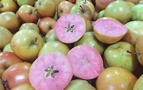 Image result for Pink-Fleshed Apple