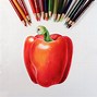 Image result for Object Drawing in Colour Pencil