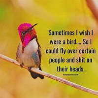 Image result for Funny Bird Sayings