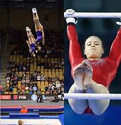 Image result for Gymnastics Types