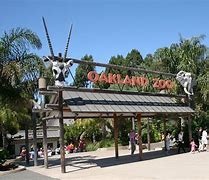 Image result for Zoo for Kids