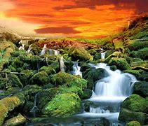 Image result for Nature iPad Wallpaper