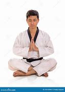 Image result for Martial Arts Meditation