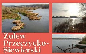 Image result for co_oznacza_zalew_przeczycko siewierski