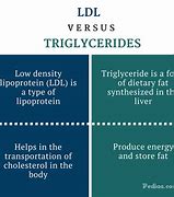 Image result for Difference Between Triglycerides and Cholesterol