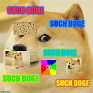 Image result for Doge Memes 2019