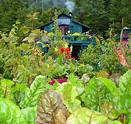 Image result for 1 Acre Garden Layout