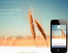 Image result for Mobile Website Examples