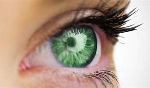 Image result for People with Pretty Green Eyes