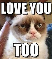 Image result for Love You Too Google Memes