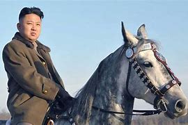 Image result for North Korea Horse