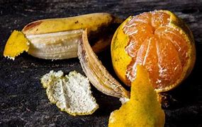 Image result for Orange and Banana Peels Free Stock Photos