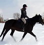 Image result for Someone Riding a Horse