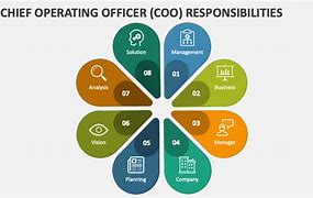 Image result for co�o
