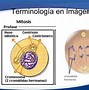 Image result for carioquinesis