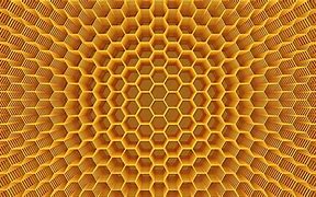 Image result for iPhone E 8 Yellow Honeycomb Case
