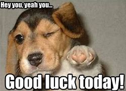 Image result for Memes About Good Luck