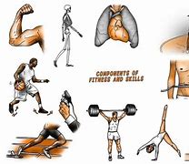 Image result for Physical Fitness Components