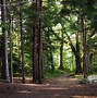 Image result for Mackworth Island State Park Maine