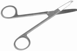 Image result for Suture Removal Scissors Long