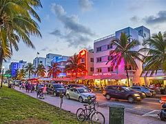 Image result for Fun Activities in Miami Florida