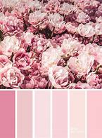 Image result for iPhone 5S Color Pallete