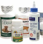 Image result for Antibiotics for Pets