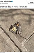 Image result for New York City Rat Meme