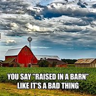 Image result for Saturday Farm Memes