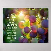 Image result for Jesus Is the Vine We Are the Branches Images