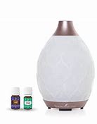 Image result for Young Living Desert Mist Diffuser