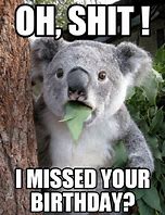 Image result for Happy Koala Meme