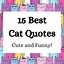 Image result for Short Cat Quotes Funny