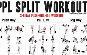 Image result for PPL Workout Machine