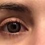 Image result for Brown Colored Contact Lenses