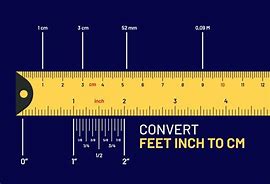 Image result for 195 Cm to Feet
