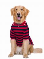 Image result for Dog Polo Shirt