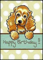 Image result for Spaniel Dog Birthday Meme